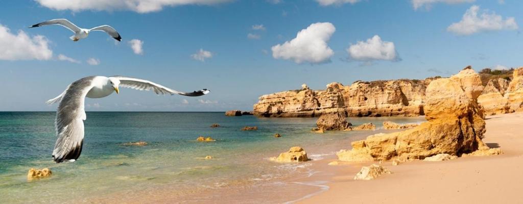 Espacoso Apt T2, Em Olhos Agua Albufeira Buitenkant foto